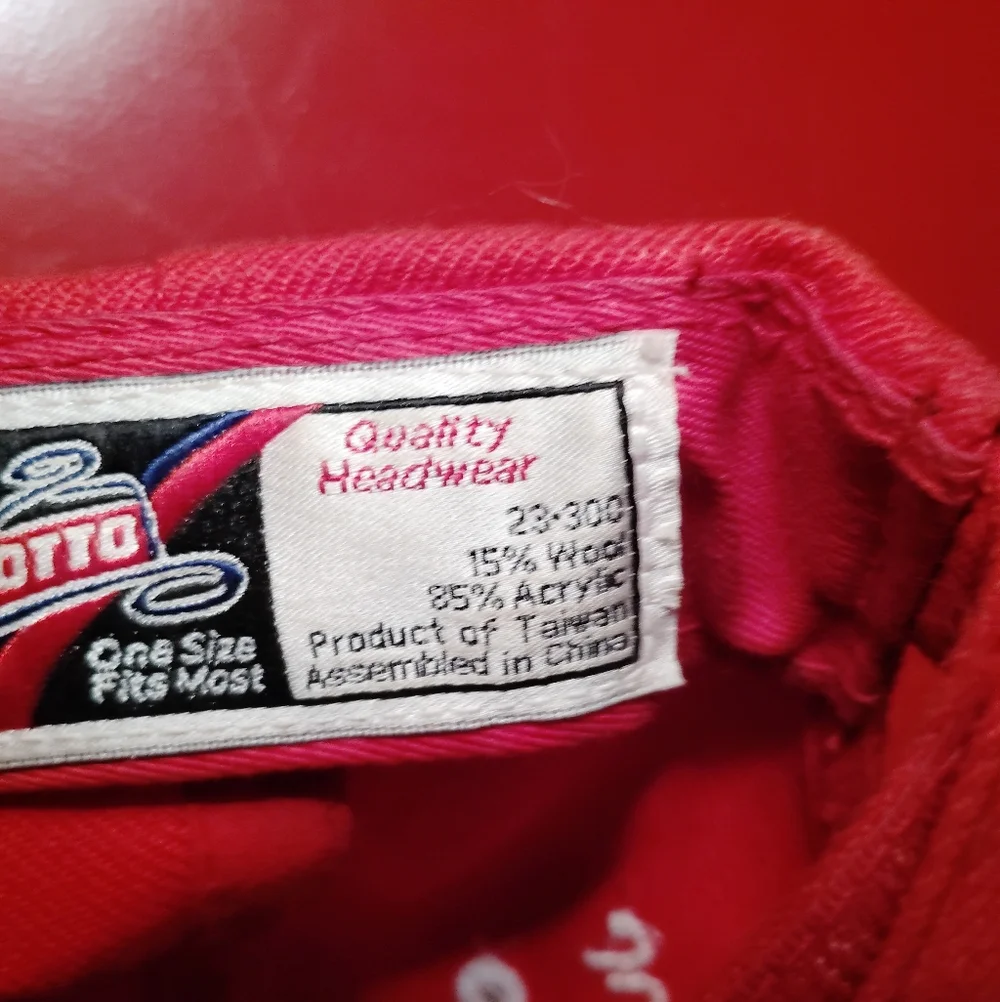 47th National Convention Las Vegas Delta Sigma Theta ΔΣΘ Vintage Baseball Cap - Picture 3 of 4